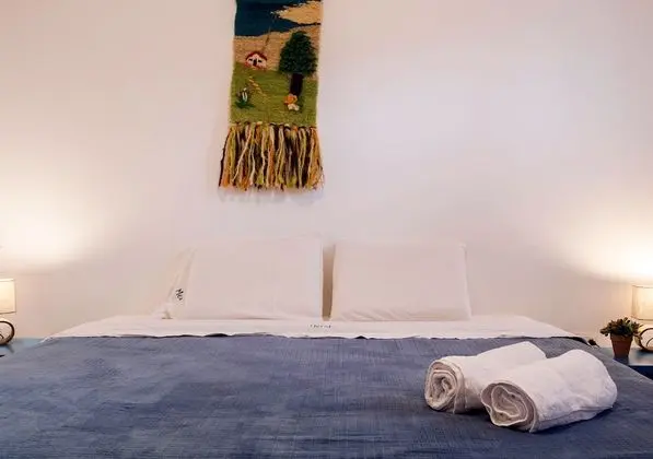 Deluxe Tek Büyük veya İki Ayrı Yataklı Oda, Sigara İçilmez, Şehir Manzaralı