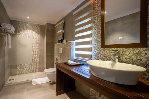Deluxe İki Ayrı Yataklı Oda, Şehir Manzaralı
