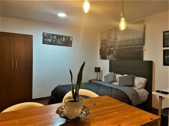 Superior Stüdyo Süit, 1 Yatak Odası