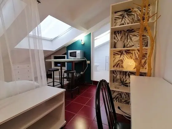 Classic Çatı Katı Süiti (Penthouse)