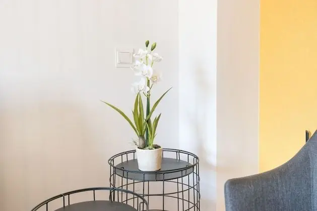 Apart Daire, Banyolu/Duşlu