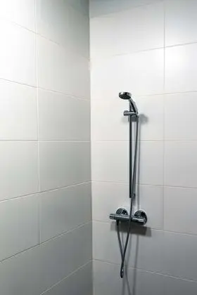Tek Büyük Yataklı Oda (Majadales)