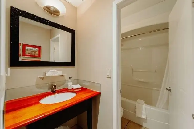 Standard Oda, 1 En Büyük (King) Boy Yatak, Sigara İçilmez, Şömine (No Elevator Access)