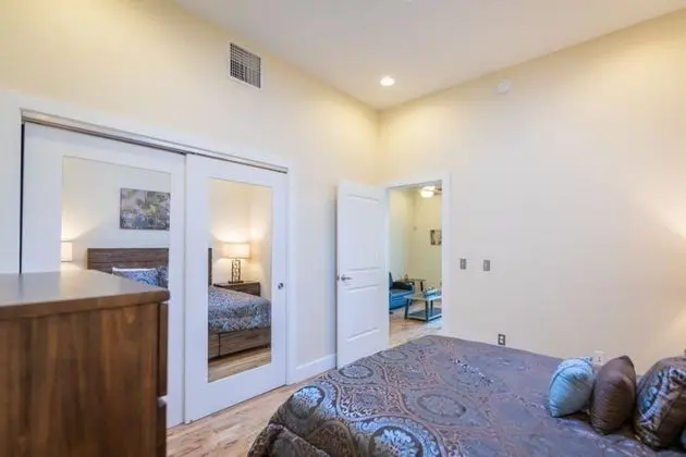 Luxury Çatı Katı Süiti (Penthouse), 1 Yatak Odası, Balkon, Şehir Manzaralı