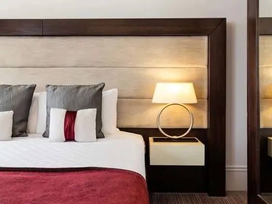 Deluxe Tek Büyük Yataklı Oda, 1 Çift Kişilik Yatak