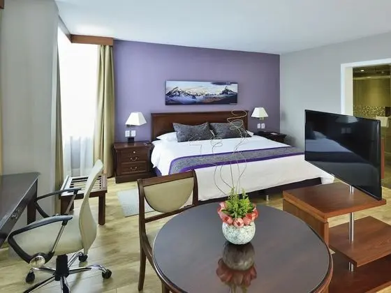 Superior Süit, 1 En Büyük (King) Boy Yatak (Privilege room)