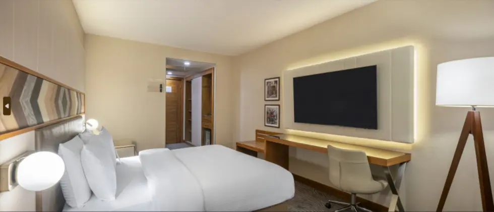 Deluxe Şehir Manzaralı Oda