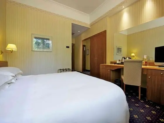 Standard Tek Büyük Yataklı Oda, 1 Çift Kişilik Yatak