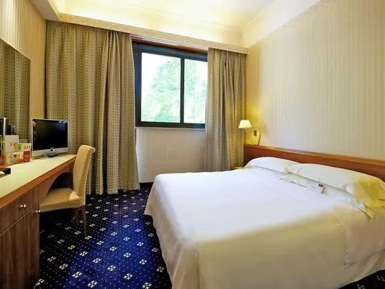 Standard Tek Büyük Yataklı Oda, 1 Çift Kişilik Yatak