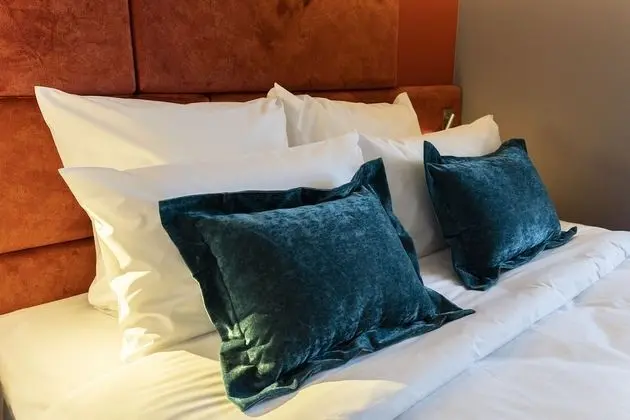 Standard Tek Büyük Yataklı Oda, 1 Çift Kişilik Yatak