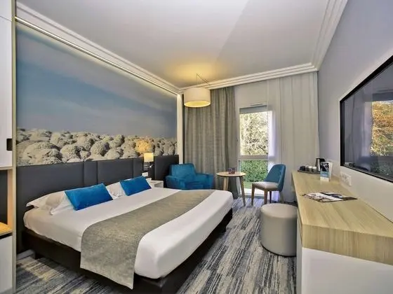 Superior Tek Büyük Yataklı Oda, 1 Çift Kişilik Yatak