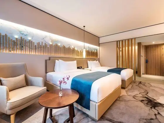 Deluxe Oda, 1 En Büyük (King) Boy Yatak