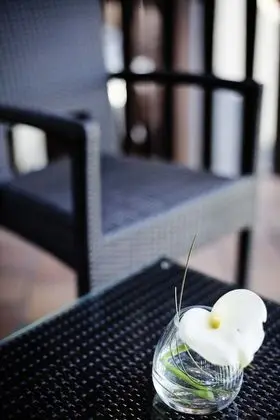 Privilege, Tek Büyük Yataklı Oda, 1 Çift Kişilik Yatak, Balkon, Park Manzaralı