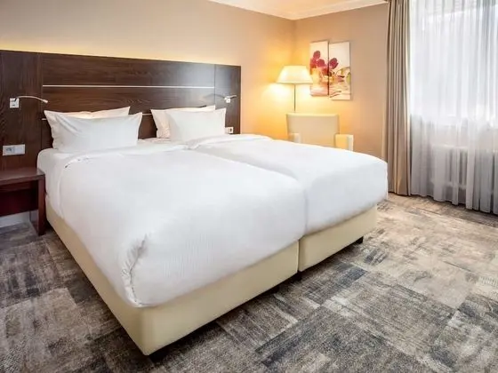 Superior Tek Büyük Yataklı Oda, 1 Çift Kişilik Yatak