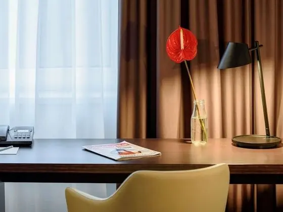 Privilege, Tek Büyük Yataklı Oda, 1 Çift Kişilik Yatak