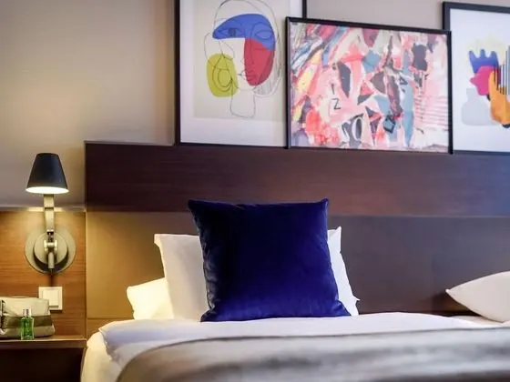 Standard Tek Büyük Yataklı Oda, 1 Çift Kişilik Yatak