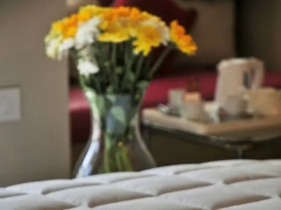 Family Oda, 2 Çift Kişilik Yatak, Havuz Kenarı (Superior)