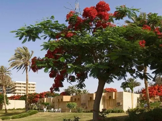 Villa, 2 Çift Kişilik Yatak