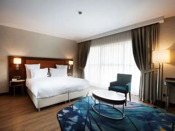 Deluxe Tek Büyük Yataklı Oda, 1 Çift Kişilik Yatak ve Çekyat, Şehir Manzaralı