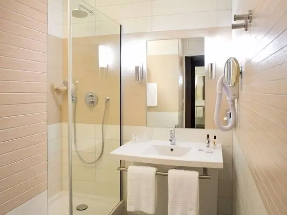 Standard Tek Büyük Yataklı Oda, 1 Çift Kişilik Yatak