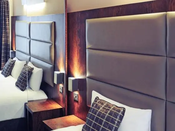 Standard Tek Büyük Yataklı Oda, 1 Çift Kişilik Yatak