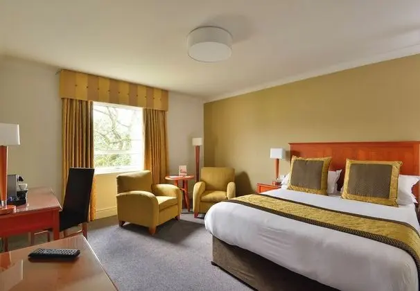 Privilege Room with 1 King Size Bed
