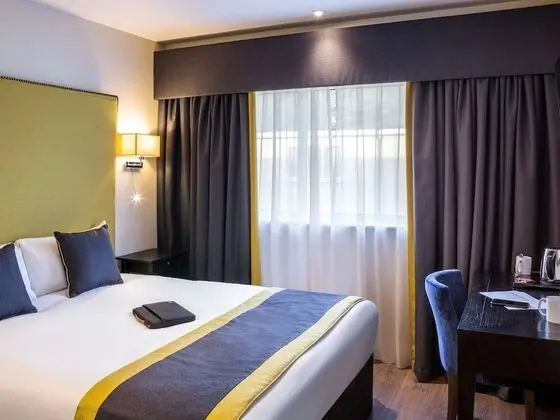 Standard Tek Büyük Yataklı Oda, 1 Çift Kişilik Yatak