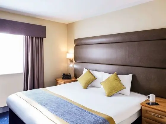 Standard Tek Büyük Yataklı Oda, 1 Çift Kişilik Yatak