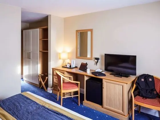 Standard Tek Büyük Yataklı Oda, 1 Çift Kişilik Yatak