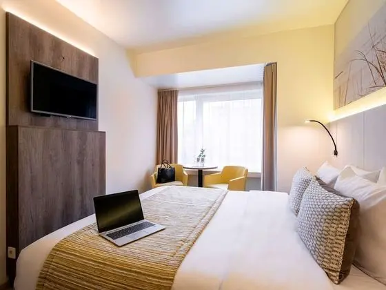 Superior Tek Büyük Yataklı Oda, 1 Çift Kişilik Yatak, Şehir Manzaralı