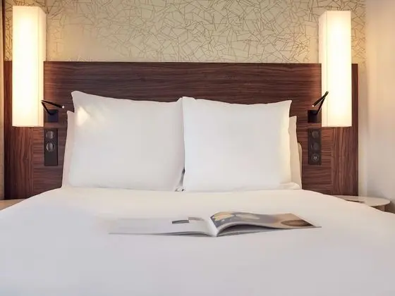 Superior Tek Büyük Yataklı Oda, 1 Çift Kişilik Yatak