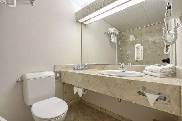 Superior Tek Büyük Yataklı Oda, 1 Çift Kişilik Yatak