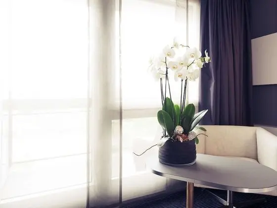 Superior Tek Büyük Yataklı Oda, 1 Çift Kişilik Yatak