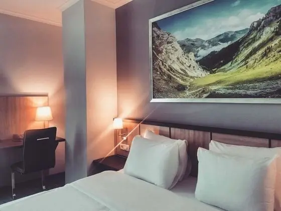 Superior Tek Büyük Yataklı Oda, 1 Çift Kişilik Yatak