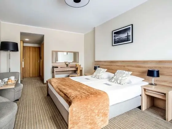 Standard Tek Büyük Yataklı Oda, 1 Çift Kişilik Yatak