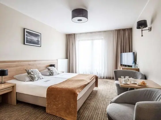 Standard Tek Büyük Yataklı Oda, 1 Çift Kişilik Yatak