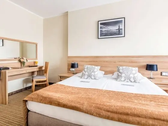 Standard Tek Büyük Yataklı Oda, 1 Çift Kişilik Yatak