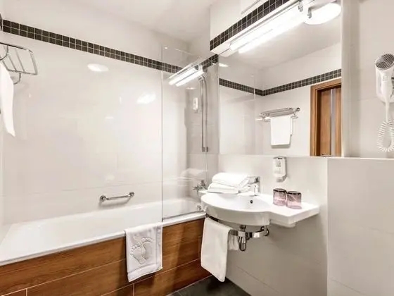 Standard Tek Büyük Yataklı Oda, 1 Çift Kişilik Yatak