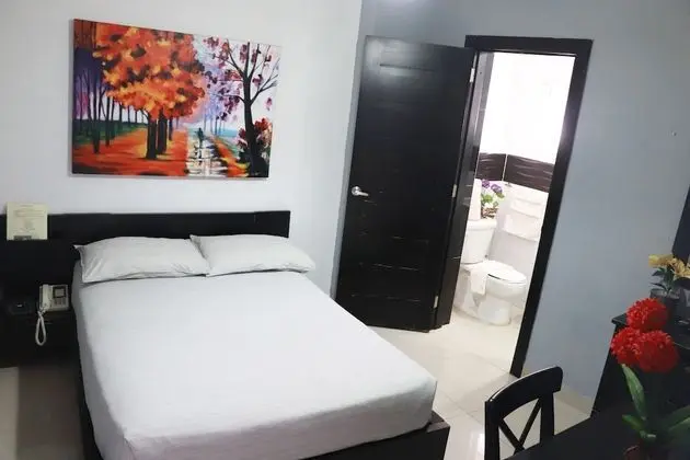 Standard Tek Büyük Yataklı Oda, 1 Büyük (Queen) Boy Yatak