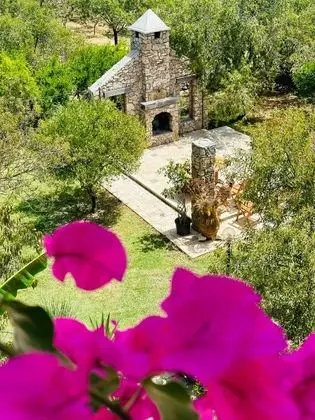 Vezir Balığı (Deniz Manzaralı)