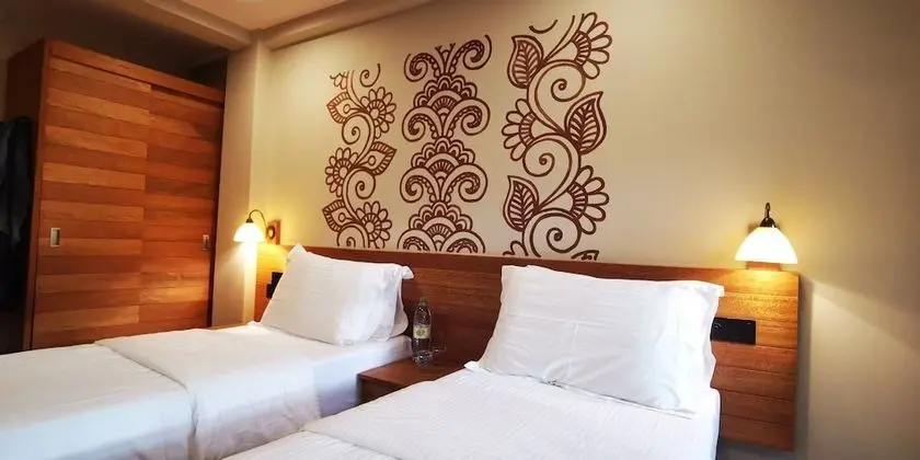 Deluxe İki Ayrı Yataklı Oda, 1 Yatak Odası, Şehir Manzaralı