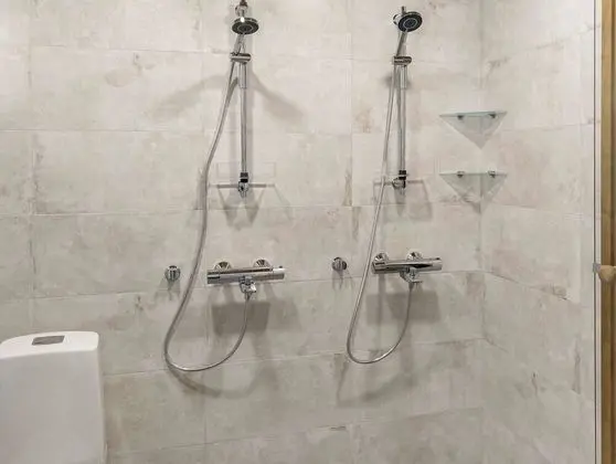 Ev