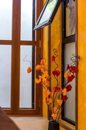 Stüdyo, Buzdolabı ve Mikrodalga, Avlu Manzaralı