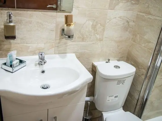 Deluxe Apart Daire, Banyolu/Duşlu (Deluxe Studio Apartment)
