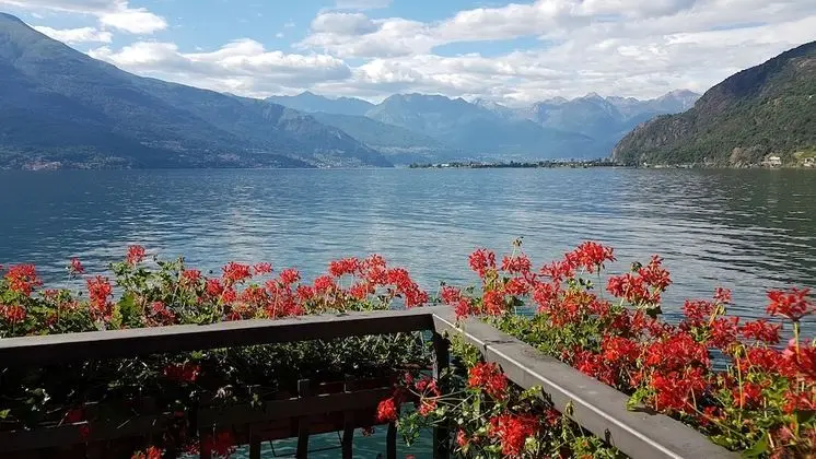 Superior Tek Büyük veya İki Ayrı Yataklı Oda, Göl Manzaralı (King)