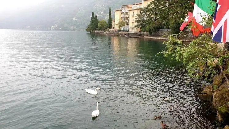 Superior Tek Büyük veya İki Ayrı Yataklı Oda, Göl Manzaralı (King)