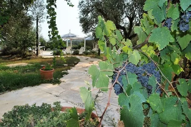 Villa, 4 Yatak Odası