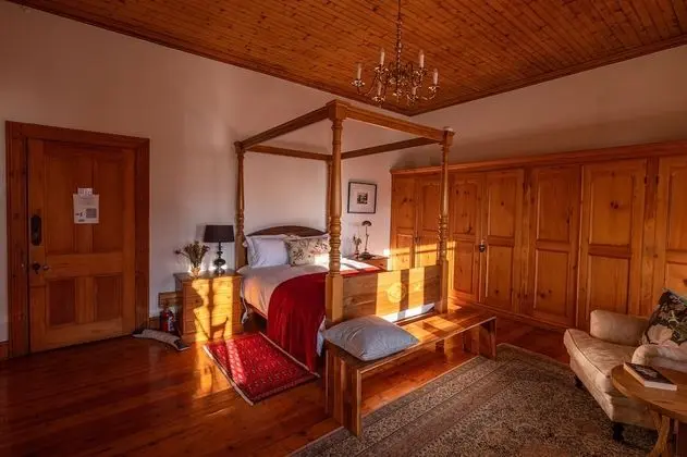 The Savannah Room