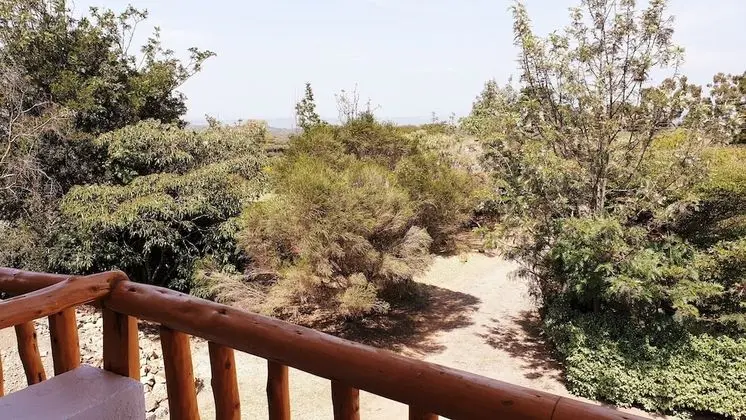 Deluxe Tek Büyük Yataklı Oda, Balkon