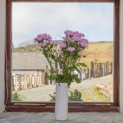 Standard Kır Evi, 3 Yatak Odası (High Barn)